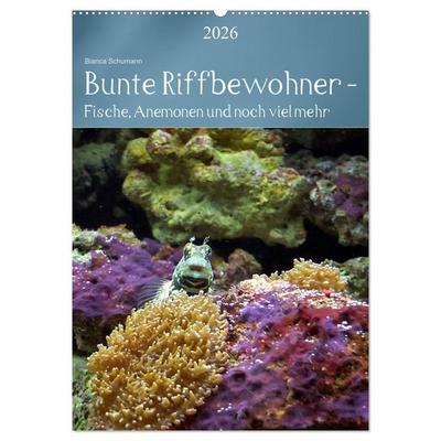 Bunte Riffbewohner - Fische, Anemonen und noch viel mehr (Wandkalender 2026 DIN A2 hoch), CALVENDO Monatskalender