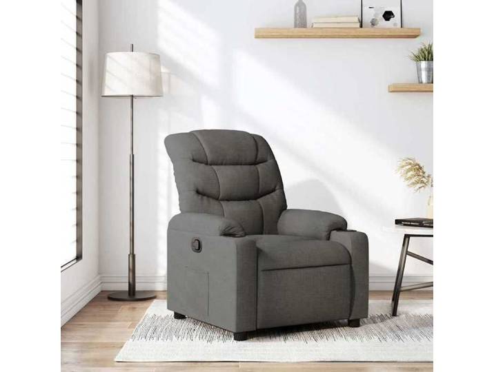 Chaise intérieure moderne Fauteuil inclinable Gris foncé Tissu(9790）
