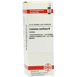 Leonurus Cardiaca Urtinktur 20 ml