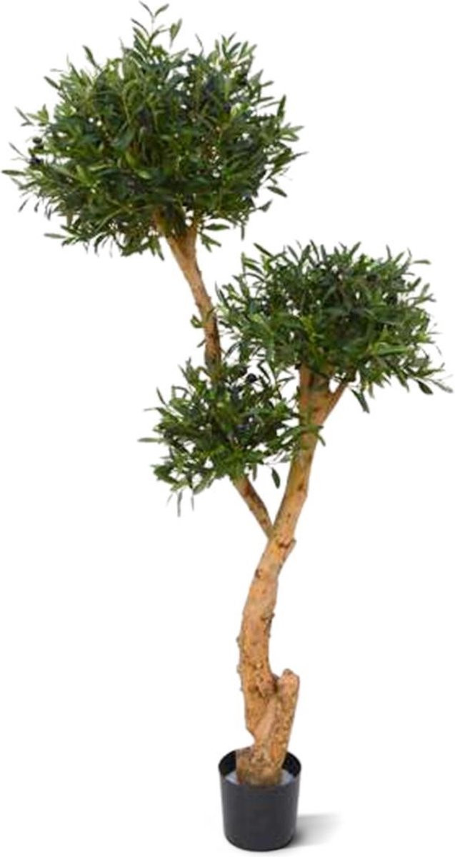 Set van 3 Kunstmatige Olijf Bonsai Deluxe bomen, Hoogte: 160 cm