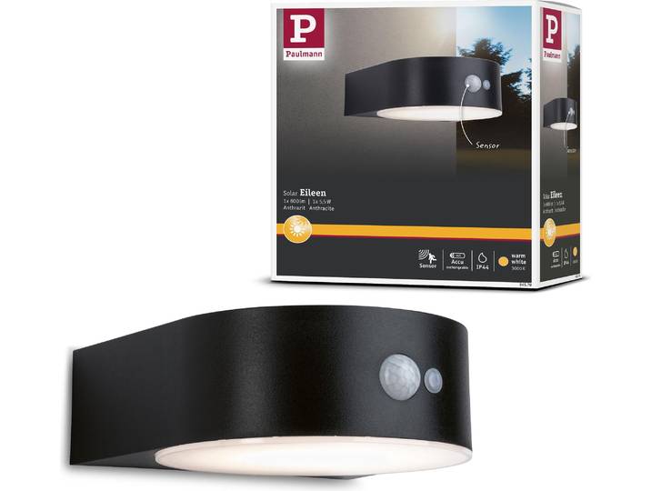 Paulmann Solar LED Außenwandleuchte Eileen