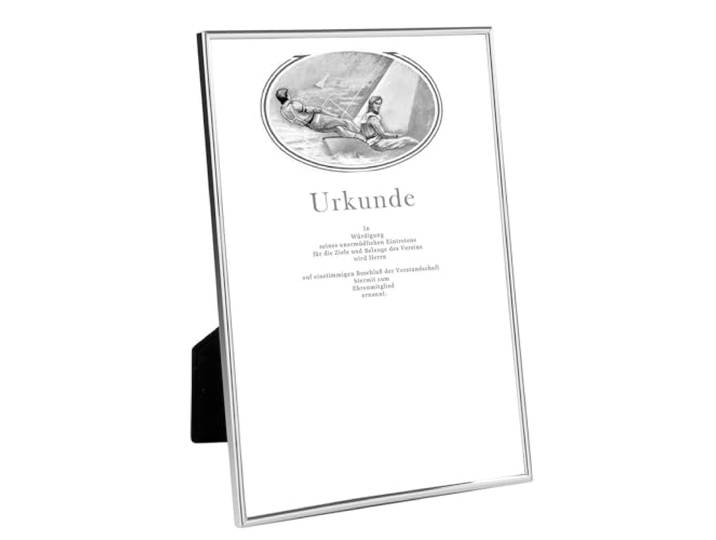 Fink versilberter Bilderrahmen DIN A4 Format 21x29.7 cm Fotorahmen mit schmaler Leiste