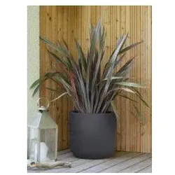 EDA, Blumentopf, Pflanzgefäss BASALT UP, rund, 485 mm, anthrazit Blumentopf aus Kunststoff, in Beton-Optik, für Innen