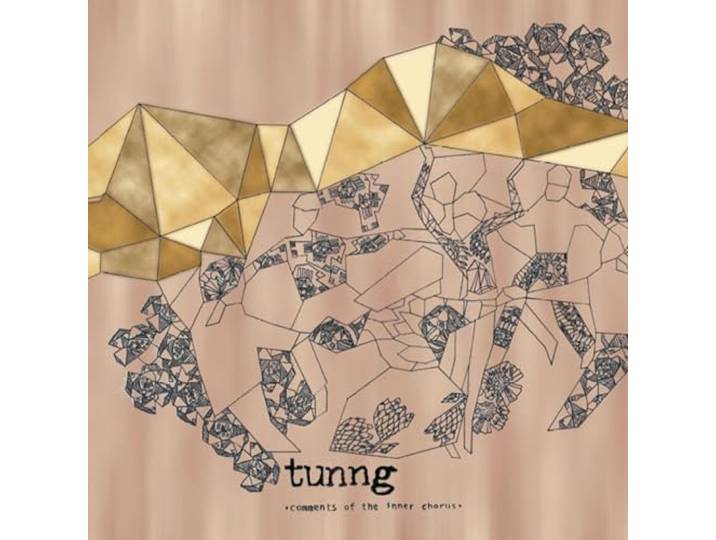 Tunng - Comments Of The Inner Chorus