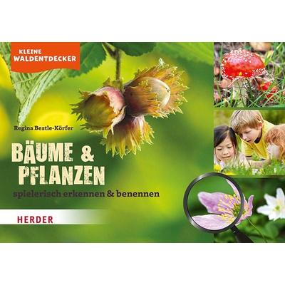 Kleine Waldentdecker: Bäume & Pflanzen, Taschenbuch von Regina Bestle-Körfer, Herder, 978-3-451-38986-3