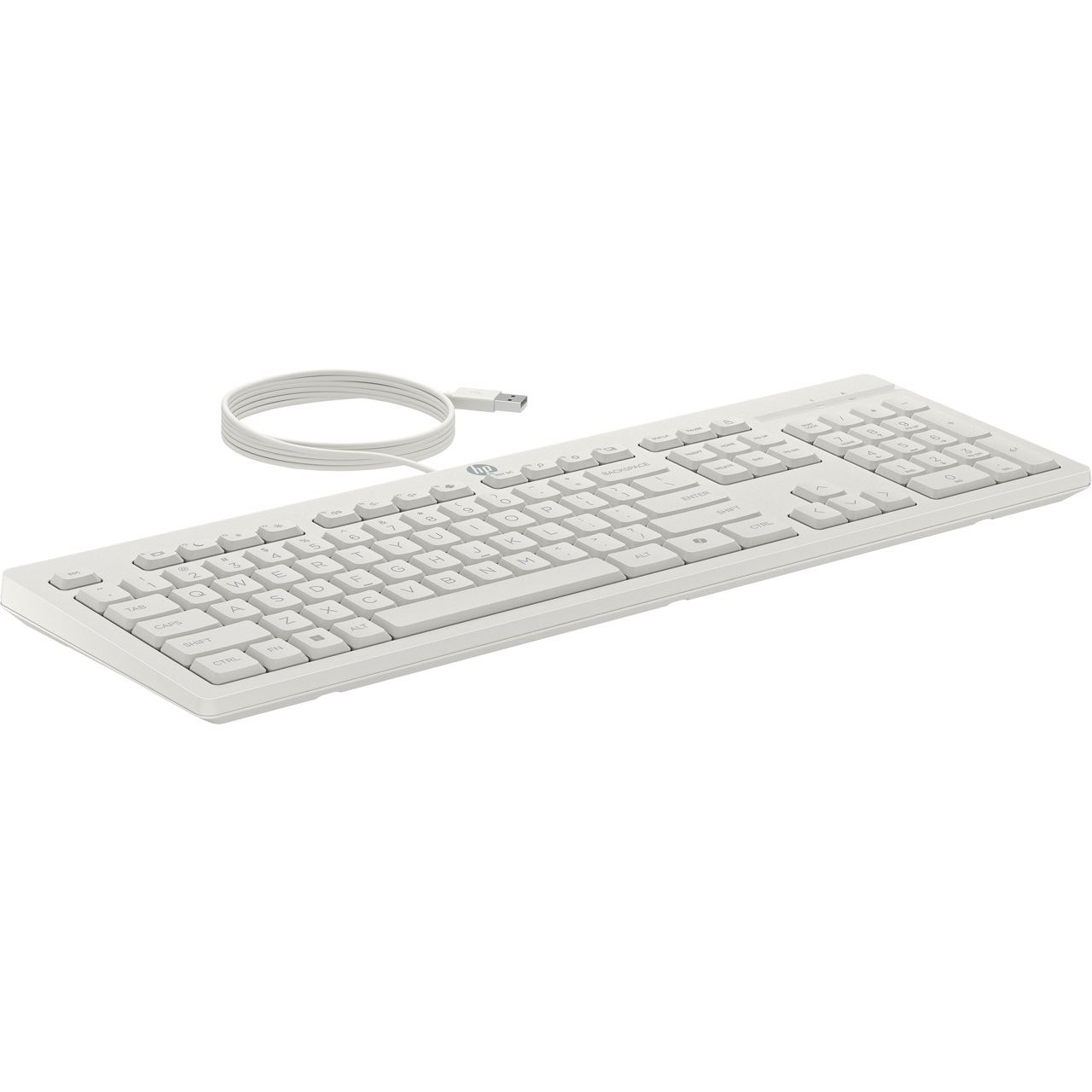 HP 225 WIRED MOUSE AND KB G2 US Layout
