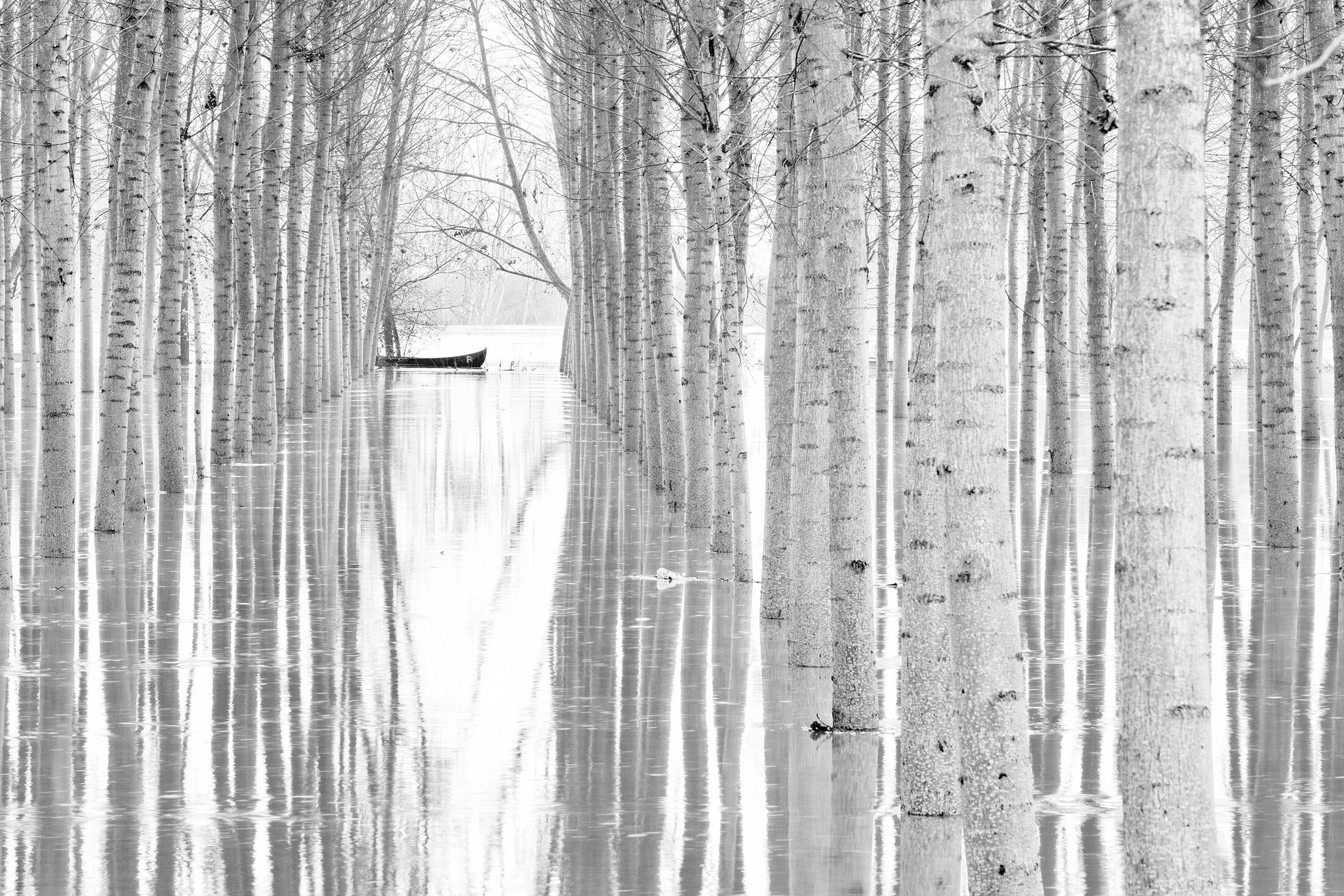 Fototapete PAPERMOON "Photo-Art AGLIONI SIMONE, BEWEGUNGSFREIHEIT", bunt, B:3,5m L:2,6m, Vlies, Tapeten, Fototapete