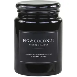 Chic Antique Lucon Duftkerze XL 95 Std, 580 g Fig & Coconut