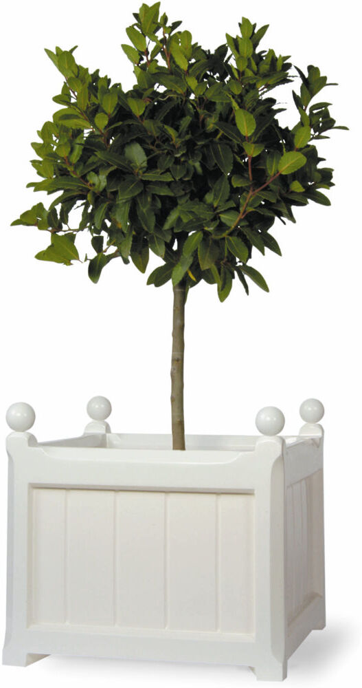 Astoria Grand Pendle Fiberglass Window Box Planter White 35cm H x 38cm W x 38cm D