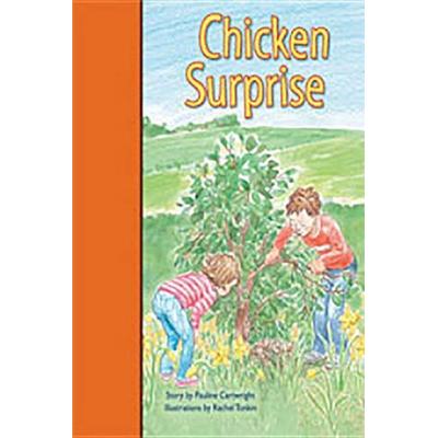 Rigby PM Stars Bridge Books: Leveled Reader Bookroom Package Orange Chicken Surprise, Taschenbuch von , Dramatic Pub., 978-1-4189-8582-0
