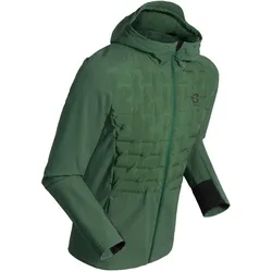 Daehlie, Herren, Langlaufjacke, M Jacket Shield (M), Grün, M