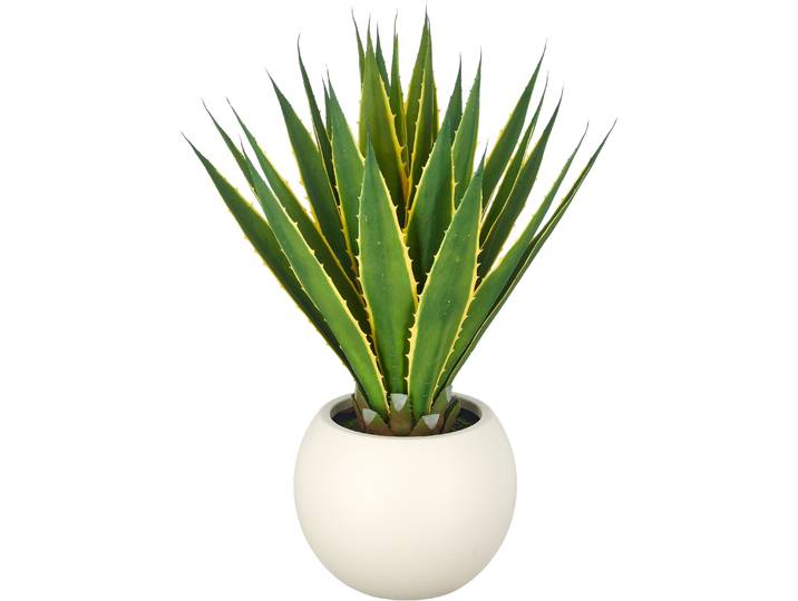 Kunstpflanze CREATIV GREEN Agave americana Marginata , grün, H:85cm, Obermaterial: 100% Kunststoff, Kunstpflanzen, Kunstpflanze, mit naturgetreuem Blattwerk