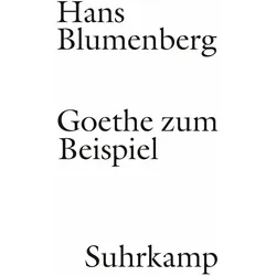 Goethe zum Beispiel, Fachbücher von Hans Blumenberg
