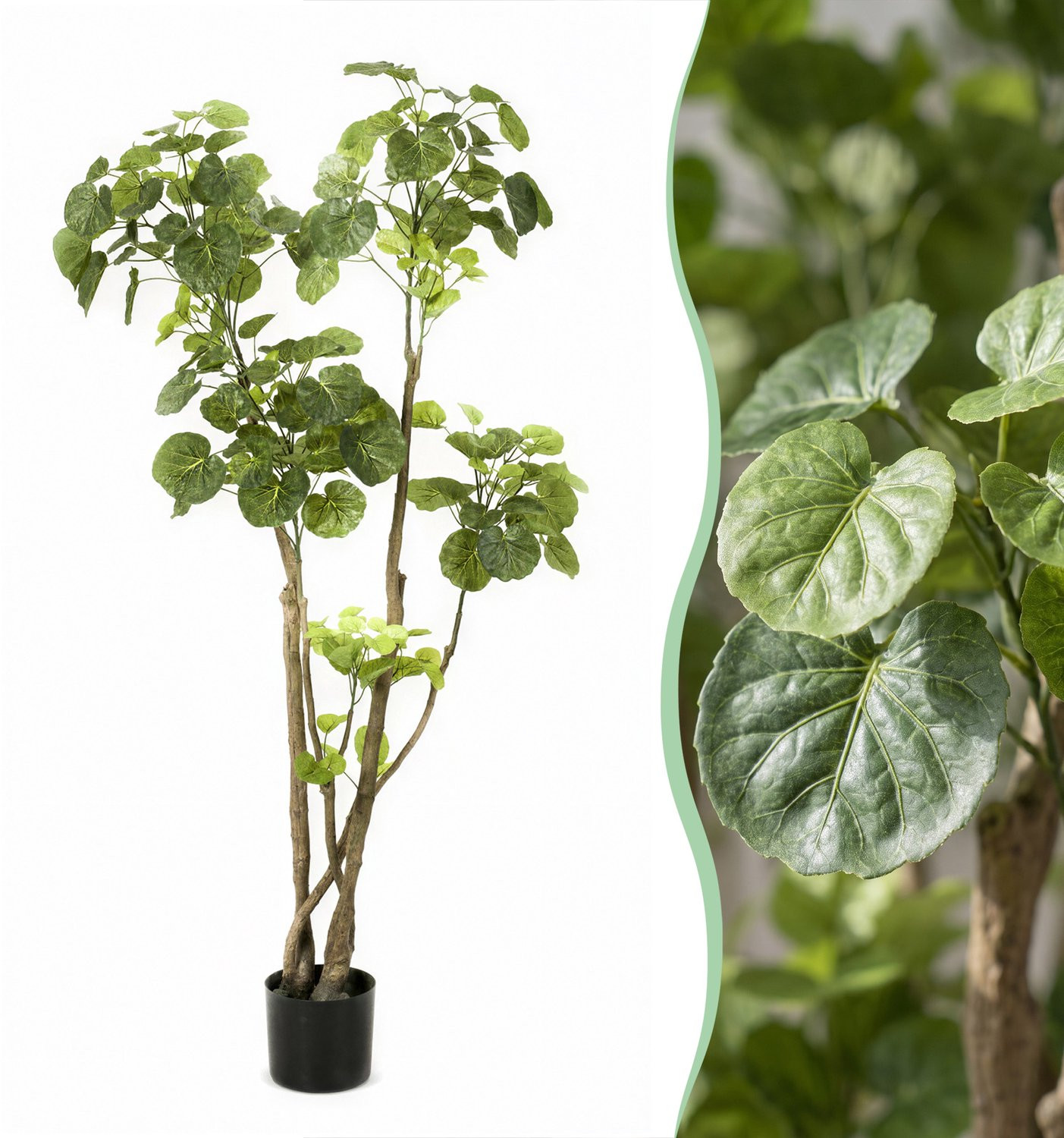 Green Boutiq Kunstplant Polyscias Aralia - 135 cm