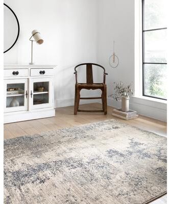 Alexander Home Josefina Distressed Abstract Contemporary Rug