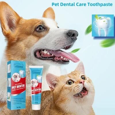 Uplift Treasures Pet Toothpaste For Fresh Breath And Dental Care Pet Toothpaste For Fresh Breath And Dental Care