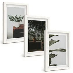 BILDER SET 3er Set - 20x30 cm Weißer Rahmen - Rustikale Topfpflanzen