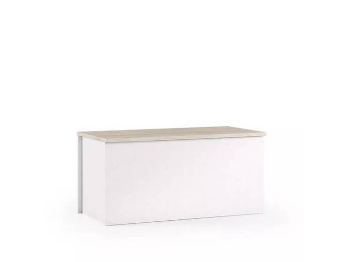 Coffre rangement banc conteneur entrée salon chambre NORA