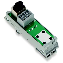 WAGO GmbH &amp; Co. KG Übergabemodul RJ-45 289-174/790-108