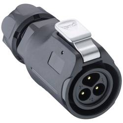 Lutronic 2450 07 T09CB T Rundsteckverbinder Stecker, gerade 1 St.