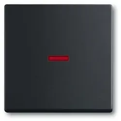 Kontrollwippe Schalter future linear sw mt