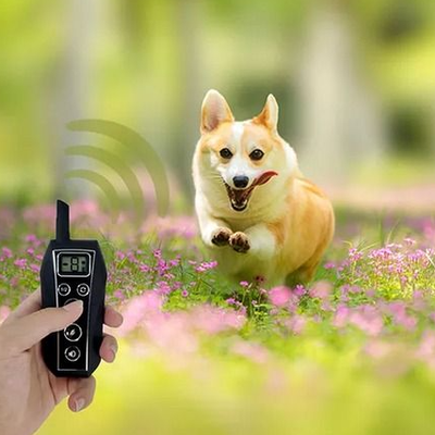 The Cart Load Remote Dog Training Shock Collar Waterproof For Small, Medium, Large Dogs, Long Standby, Vibration, Tone Modes Remote Dog Training Shock Collar Waterproof For Small, Medium, Large Dogs, Long Standby, Vibration, Tone Modes