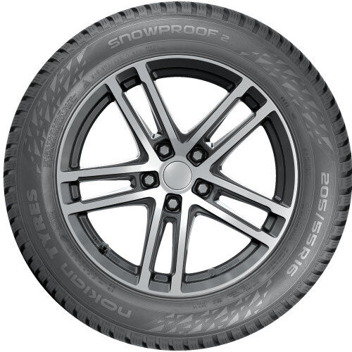 Nokian Tyres Winterreifen 205/65 R16 99h Xl - Snowproof 2 T433426