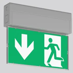 RZB LED-Rettungszeichenleuchte GSUN S, 2,5W, Erkennungsweite 24 m, Einzelbatterieversorgung, silber