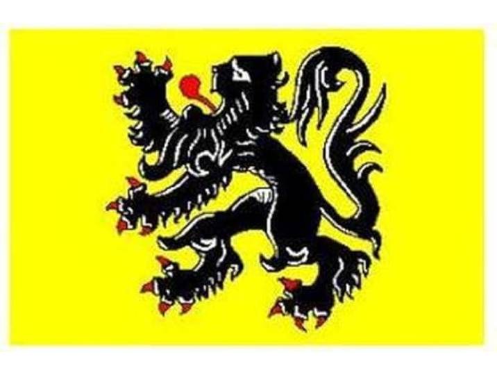CHPN - Vlag - Vlag van Vlaanderen - Vlaamse vlag -Vlaamse Gemeenschap Vlag - 90/150CM - Belgische vlag - Vlag van België - Vlaanderen