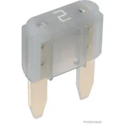 HERTH&BUSS Sicherung, MINI, 2 A, 5 pcs grau - 50295572066 - grau