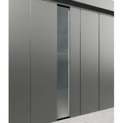 Hörmann Wandelement mit bodentiefer Verglasung für "Juno" Gerätehäuser,graualuminium,48 x 200 cm
