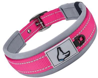 Inspired Living ComfortFit Reflective Padded Dog Collar rose Red l