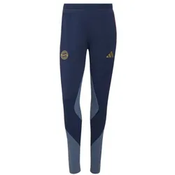 adidas FC Bayern Training Pntw Trainingshose Damen - nindig/prloi