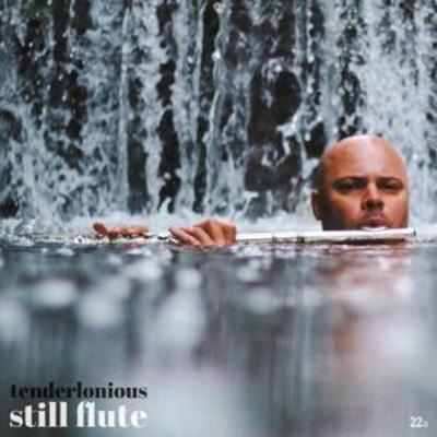 Tenderlonious: Still Flute - Tenderlonious, CD