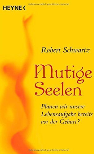 Robert Schwartz - Mutige Seelen: Planen wir unsere Lebensaufgabe bereits vor der Geburt? - Preis vom 13.10.2026 19:28:25 h