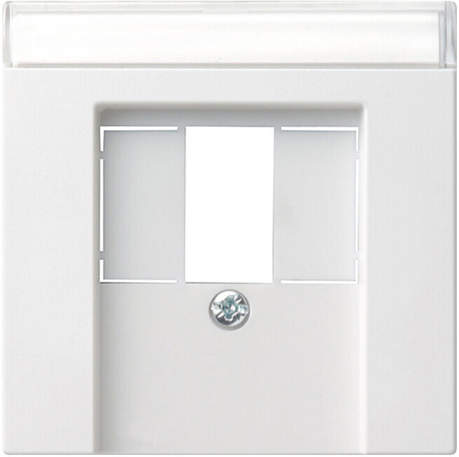 Gira Plaque centrale rws-gl pour prise TAE 087603 (087603)