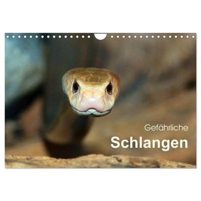 Gefährliche Schlangen (Wandkalender 2027 DIN A4 quer), CALVENDO Monatskalender
