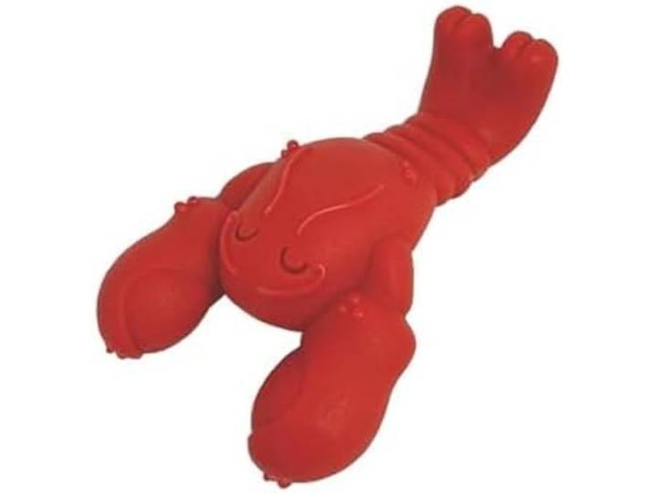 Nylabone, Extreem sterk kauwspeelgoed, Innovatief kreeft kauwspeelgoed, Duurzaam, Kauwspeelgoed voor de tanden, Smaak: Biefstuk, Klein, Voor honden tot 11 kg