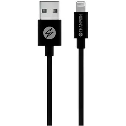 Champion USB-A auf Lightning-Kabel 1 m, Schwarz (1 m), USB Kabel