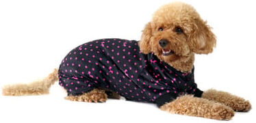 United Pets Pigiama Dreaming Dog Nero con Stelle TG.40