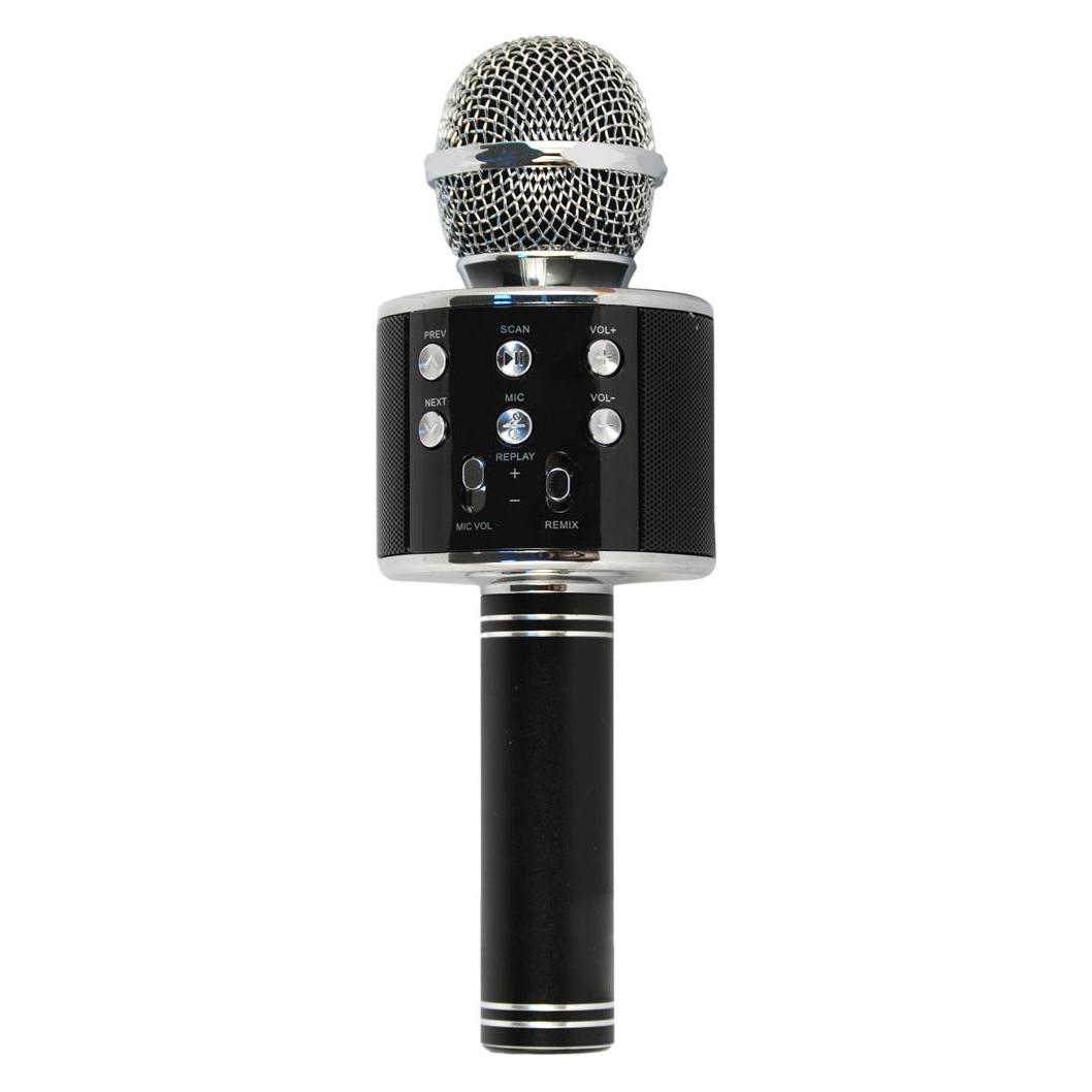 Xtreme Hollywood Schwarz, Silber Karaoke Mikrofon (27837)