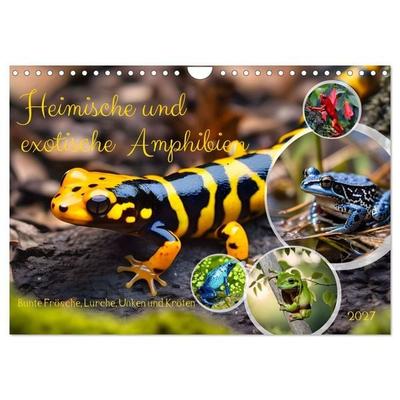 Heimische und exotische Amphibien (Wandkalender 2027 DIN A4 quer), CALVENDO Monatskalender