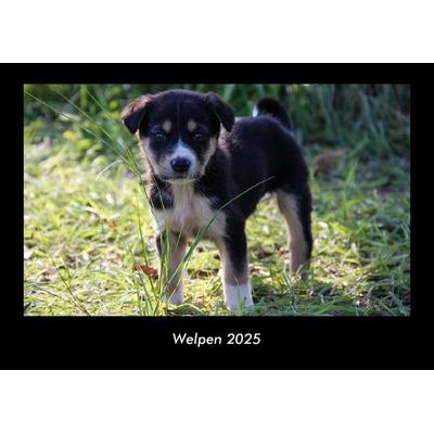 Welpen 2025 Fotokalender DIN A3