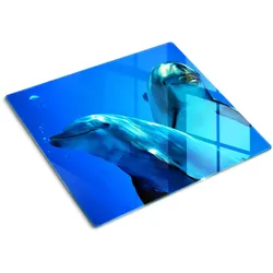 GLASPLATTE 60x52 cm Zwei Delfine
