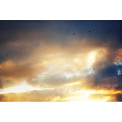 Fototapete PAPERMOON "Himmel", bunt, B:4,5m L:2,8m, Vlies, Tapeten