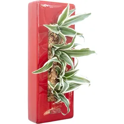 Flowerbox Box 40 - rot - 40x16 cm
