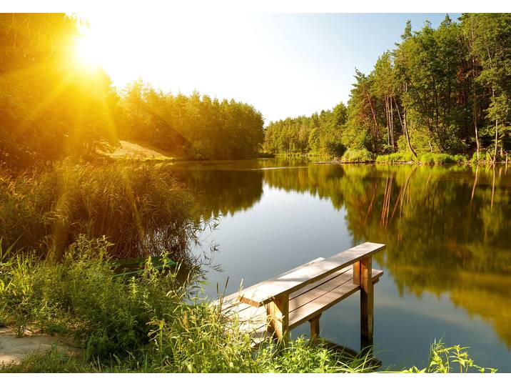 Fototapete PAPERMOON Summer Forest Lake , bunt, B:4m L:2,6m, Vlies, Tapeten, Fototapete