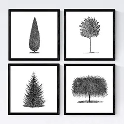 POSTER Set mit 4 Blättern der Bäume in weiß 20x20cm Rahmenlos