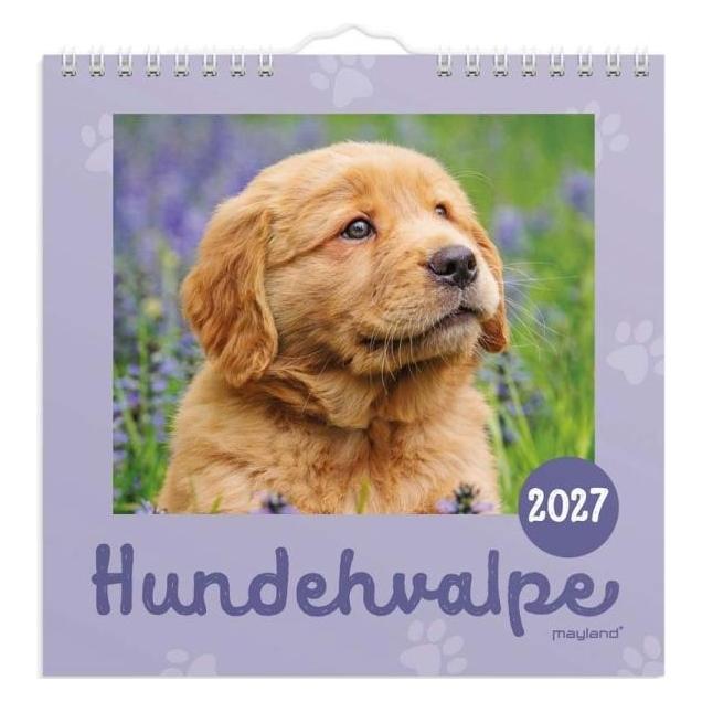 Mayla Pharma Vgkalender mini Hundehvalpe 2027 (27066410)