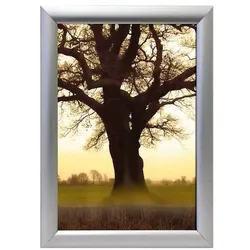 Franken Wechselrahmen »Outdoor BS1703« silber, 45x62.4 cm